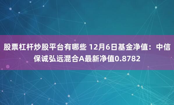 股票杠杆炒股平台有哪些 12月6日基金净值：中信保诚弘远混合A最新净值0.8782