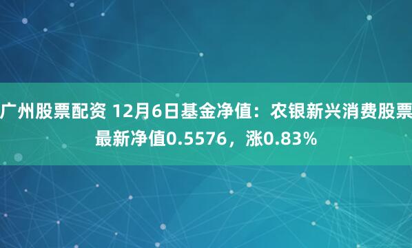 广州股票配资 12月6日基金净值：农银新兴消费股票最新净值0.5576，涨0.83%