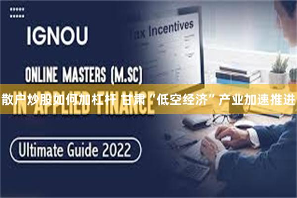 散户炒股如何加杠杆 甘肃“低空经济”产业加速推进