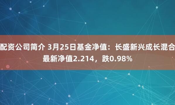 配资公司简介 3月25日基金净值：长盛新兴成长混合最新净值2.214，跌0.98%