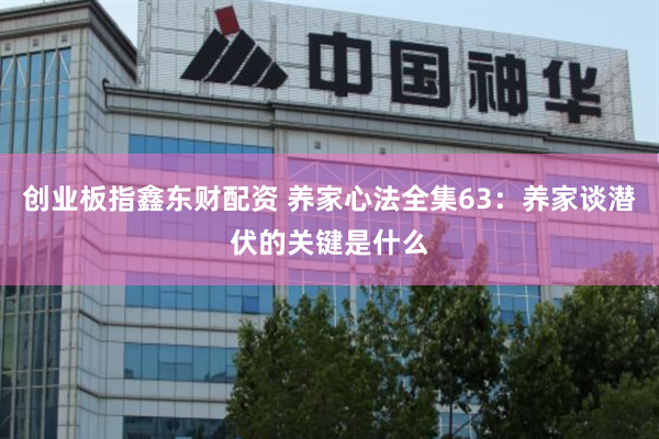 创业板指鑫东财配资 养家心法全集63：养家谈潜伏的关键是什么