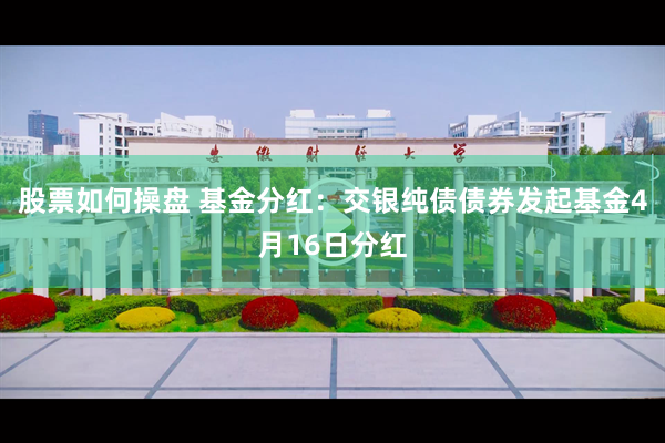 股票如何操盘 基金分红：交银纯债债券发起基金4月16日分红
