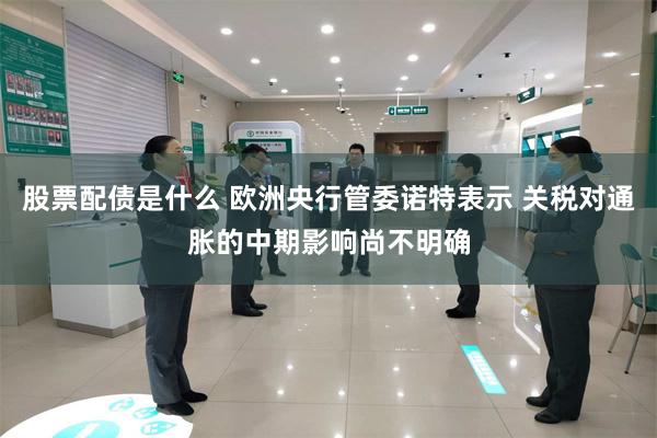 股票配债是什么 欧洲央行管委诺特表示 关税对通胀的中期影响尚不明确