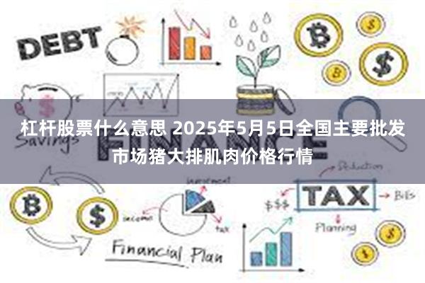 杠杆股票什么意思 2025年5月5日全国主要批发市场猪大排肌肉价格行情