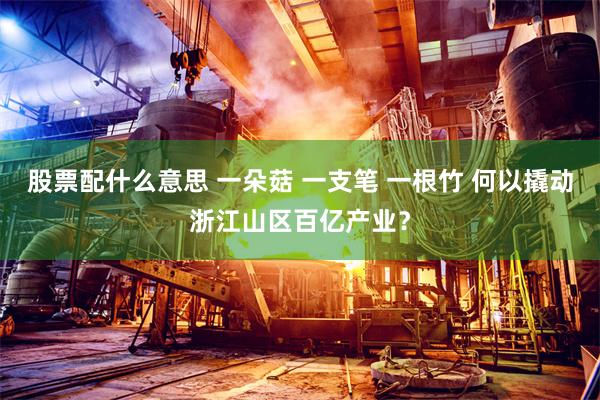股票配什么意思 一朵菇 一支笔 一根竹 何以撬动浙江山区百亿产业？