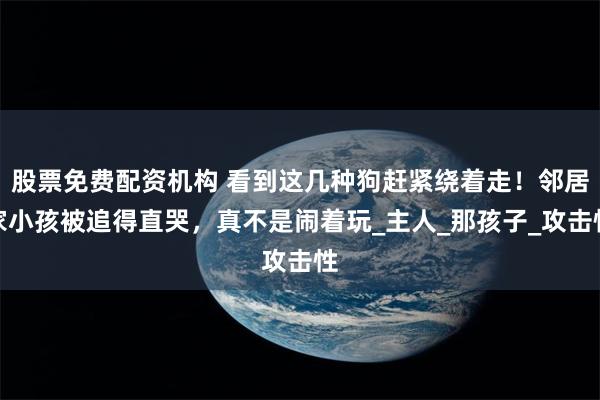 股票免费配资机构 看到这几种狗赶紧绕着走！邻居家小孩被追得直哭，真不是闹着玩_主人_那孩子_攻击性