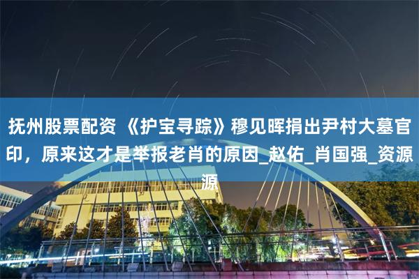 抚州股票配资 《护宝寻踪》穆见晖捐出尹村大墓官印，原来这才是举报老肖的原因_赵佑_肖国强_资源