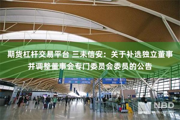 期货杠杆交易平台 三未信安：关于补选独立董事并调整董事会专门委员会委员的公告