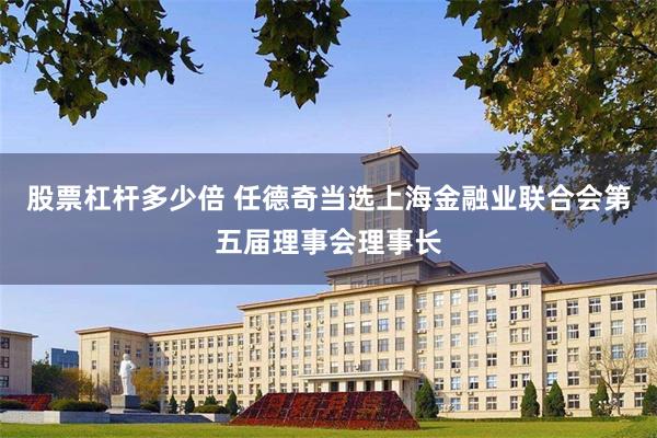 股票杠杆多少倍 任德奇当选上海金融业联合会第五届理事会理事长