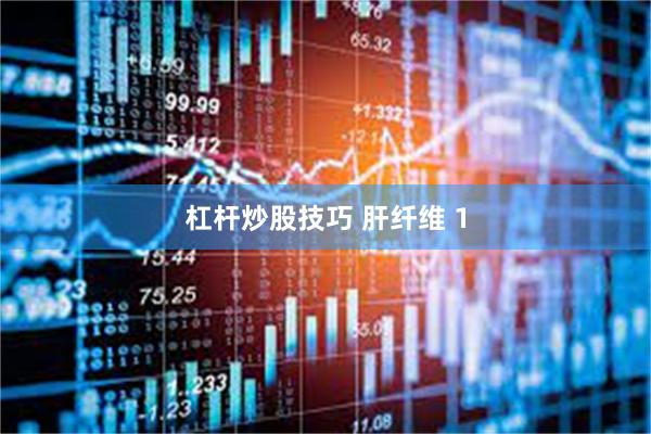 杠杆炒股技巧 肝纤维 1